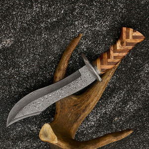 Couteau en acier D2 fait à la main 10 pouces de long Bundle Bowie Full Tang Couteaux de chasse à lame fixe avec manche en palissandre - Product Image 5