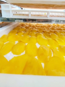 100% naturel doux mangue séchée sans conservateur du Vietnam - Product Image 5