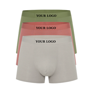 2025 dernier Style hommes boxeurs coton séchage rapide vêtements pour hommes tissu modal sous-vêtements pour hommes fabricant de ceinture personnalisé - Product Image 1