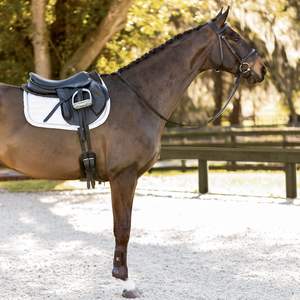 Bride de cheval en cuir, brides Western Brow Band réglables pour chevaux avec mèches et rênes détachables (S (moins de 1.2 mètres), rouge) - Product Image 3