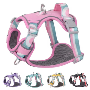 Nylon Tùy Chỉnh Vật Nuôi Khai Thác Cho Pháp Bulldog <span class=keywords><strong>Chihuahua</strong></span> Pug Bền Con Chó Chì Ngực Dây Đeo Động Vật Mô Hình Ngoài Trời Đi Bộ - Product Image 5