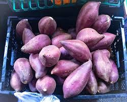 Batata congelada Una guarnición saludable y fácil de preparar hecha en Vietnam - Product Image 2