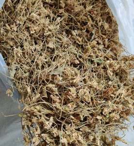 Hojas Banafsha/Viola Odorata - Product Image 1