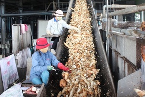 Harina de Tapioca Vilaconic, Almidón Blanco Natural de Grado Alimenticio, 100% Puro, Origen Vietnam, Paquete de 25 kg en Bolsa de Papel Kraft - Product Image 5