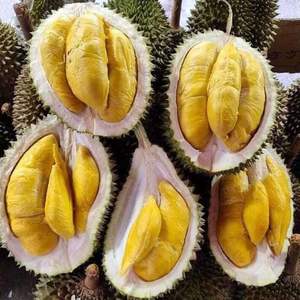 Meilleur durian surgelé du Vietnam - IQF RI6 Durian doux et crémeux, poids 2 kg, prix de gros bon marché - Product Image 1