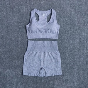 Quick Dry Women Sportswear Yoga Set Fitness Gym Yoga Clothing Suit Sets Workout Running Training - Product Image 6