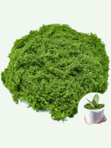 Envío Rápido desde Almacén en EE. UU., Flores de Musgo Artificial, 30g (1.05oz) /150g (5.3oz), Ecológicas, Ligeras, de Plástico - Product Image 3