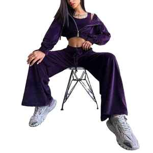 2025 Top vente hiver solide à capuche 2 pièces velours survêtement pour femmes à manches longues décontracté haut court Jogging costume - Product Image 2