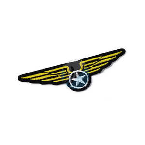 Insignes d'aile les plus vendus sur mesure en stock insignes d'aile les plus populaires insignes d'aile - Product Image 5