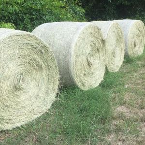 Heno de Alfalfa y Timothy de Alta Calidad, Grado Alimenticio, 24 Meses de Vida Útil, Envío Rápido para Necesidades de Alimentación de Ganado y Caballos a Granel - Product Image 6