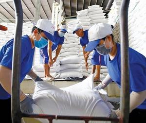 Vente de gros Riz au jasmin - Product Image 1