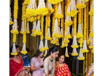 Karangan bunga Marigold 5 kaki (bengkak) dengan gantungan mewah untuk dekorasi pernikahan India candi dekorasi panggung Diwali dekorasi Haldi