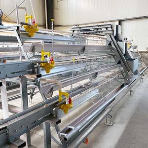 Sistema de Jaulas Tipo A de Alta Capacidad para la Cría de Gallinas Ponedoras, Producción de Huevos y Equipo Avícola al por Mayor - Product Image 2