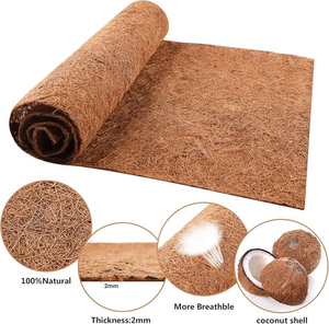 แผ่นรองเทอราเรียมโคออแกนิคเหมาะสำหรับที่อยู่อาศัยของสัตว์เลื้อยคลานยั่งยืนตามธรรมชาติผลิตในเวียดนาม - Product Image 5