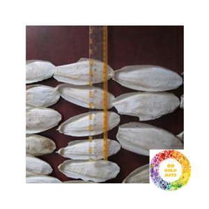 ปลาหมึกอบแห้งแบบธรรมชาติสำหรับสัตว์เลี้ยงที่ให้อาหารนกสำหรับสัตว์เลี้ยง - Product Image 3