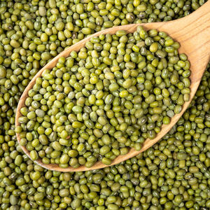 Usine en vrac de qualité supérieure exportation directe de gros haricots mungo séchés naturels haute teneur en protéines récolte fraîche qualité haricots mungo purs - Product Image 6