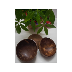 Tazón de coco Shell Precio barato Artesanía respetuosa con el medio ambiente para cocina Listo para enviar Fabricante de Vietnam - Product Image 4