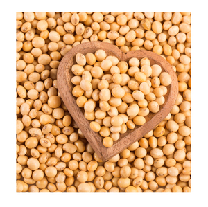 Semillas de soja Premium sin OGM Paquete a granel seco Puramente natural - Product Image 2