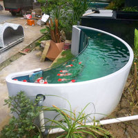 Estanque para Peces Koi de Acero Inoxidable Personalizado con Múltiples Formas, Ventana Transparente Curva Completa, Pecera para Jardín Exterior