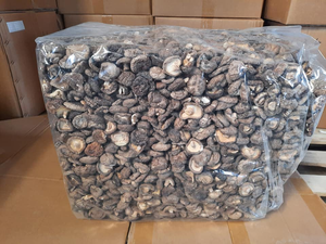 Champignon shiitake séché de MEILLEURE QUALITÉ avec un prix compétitif pour la vente en gros - Product Image 3