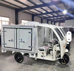 Tricycle frigorifique à trois roues de type cabine fermée 800W, idéal pour la livraison de glaces, en promotion à un prix avantageux - Product Image 5