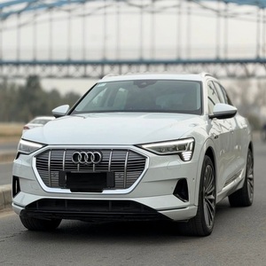 Excellent rapport qualité-prix : Audi e-tron 50 quattro Dual-Motor AWD - Product Image 1