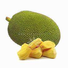 PREMIUM CONGELADO JACKFRUIT NATURAL MADURO FRUTA TROPICAL APOYO INMUNE ETIQUETA LIMPIA PRODUCTO A BASE DE PLANTAS - Product Image 3