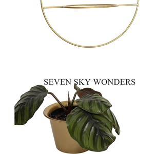 Jardinières murales suspendues en métal Style ferme pour la décoration intérieure Accessoire Design personnalisé Pots montés couleur or en métal et fer - Product Image 3