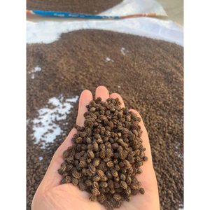 Graines de papaye séchées biologiques et naturelles Valeur Made in Vietnam pour les recettes familiales Produit agricole - Product Image 5