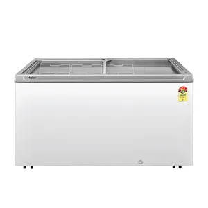 Congelador Comercial de Vidrio Plano con Clasificación de 5 Estrellas, Descongelación Automática, Puertas Corredizas Dobles, Congelación Profunda, HFC-575GM5 - Product Image 1