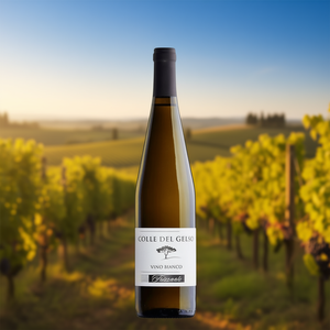 COLLE DEL GELSO Bianco Frizzante Rubicone IGT Refreshing 750ml Italian Sparkling White <b>Wine</b> Made in Italy 6th Batch - Product Image 3