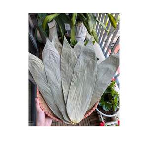 High Quality 100% Natural Dry Bamboo Leaf Vacuum Packed Safe for Cake Packing Cheap Sale Vietnam <b>Disposable</b> <b>Party</b> <b>Supplies</b> <b>Kits</b> - Product Image 1