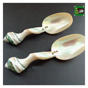 Cuchara de concha hecha de concha de océano sostenible para mesa de lujo o uso de condimentos de cocina en Vietnam - Product Image 1