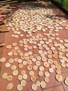 MEILLEUR VENDEUR | Tranches de bois de pin durables pour sous-verres, peintures et panneaux muraux-BLEU LOTUS VIETNAM - Product Image 2