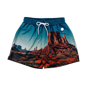 High Quality 100% Polyester Mesh Shorts for Men Custom Sublimation Printed Quick Dry Breathable <b>Elastic</b> Waist Pockets Shorts - Product Image 4