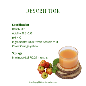 Purée d'acérola sans sucre exportée du Vietnam jus de fruits et de légumes en vrac - Product Image 3