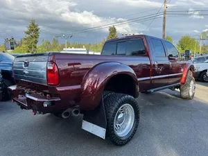 2016 Ford F-450 Platine - Product Image 3