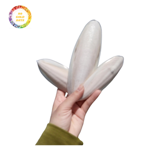 Matériel d'exportation d'os de seiche sans traitement supplémentaire pour les ateliers créatifs, les accessoires de jeu d'oiseaux et le marché des conditionneurs de sol - Product Image 4
