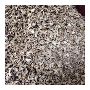 Vietnam Premium gingembre séché naturel tranche de gingembre séché et racine entière en vrac en gros exportation usine approvisionnement direct - Product Image 1
