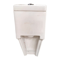Siège de toilette intelligent Neo 114 de qualité supérieure toilette de salle de bain en céramique monobloc avec réservoir dissimulé en gros