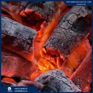 100% bois dur naturel sciure de bois de coco charbon de bois Vietnam haute valeur calorifique charbon bitumineux pour la cokéfaction Application Stock vente - Product Image 6