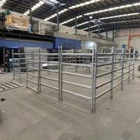 Panneaux de clôture pour animaux en acier galvanisé durable - Panneaux de corral pour bétail - Panneaux de enclos pour chèvres, moutons / Panneaux de cour pour bovins - Panneaux d'arène pour chevaux
