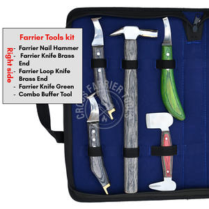 Kit d'équipage équin le plus vendu : outil de dépose incurvé, pince à étrier, pince à clincher, marteau de forge, paire de couteaux à sabots et barre de polissage - Product Image 3
