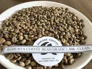 ROBUSTA GRADE 1 S16 NETTOYÉ de DHPONE DakLak Farm Vietnam grains de café vert en gros + 84 969 615 235 - Product Image 6