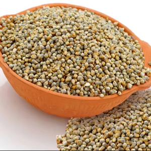 Nhà cung cấp hàng đầu màu xanh lá cây kê/<span class=keywords><strong>bajra</strong></span> hạt giống cho thức ăn Chăn Nuôi Lợn Gia Súc ngựa hạt xuất khẩu - Product Image 1