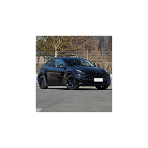 Modello <span class=keywords><strong>Tesla</strong></span> X con porte ad ala di falco e prestazioni elettriche per famiglie