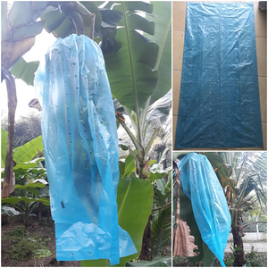 Nouvelle agriculture 1000kg sacs quantité minimale de commande protection des plantes PP barrière aux fruits haute qualité banane bouquet Top sacs en plastique - Product Image 2