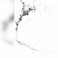 Dalles de porcelaine vitrifiée modernes Magnificent Shine 600x1200mm, résistantes aux acides, antibactériennes, antidérapantes, isolantes thermiquement, pour villa