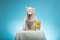 Brosses à mousse sèche écologiques Urban Moof avec Aloe Vera et Bergamote pour chiens et chats - Sécurité absolue pour les animaux de compagnie - Best-seller en Thaïlande
