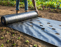 Toile de paillage anti-herbe en tissu tissé HDPE PP pour jardin, ferme et aménagement paysager